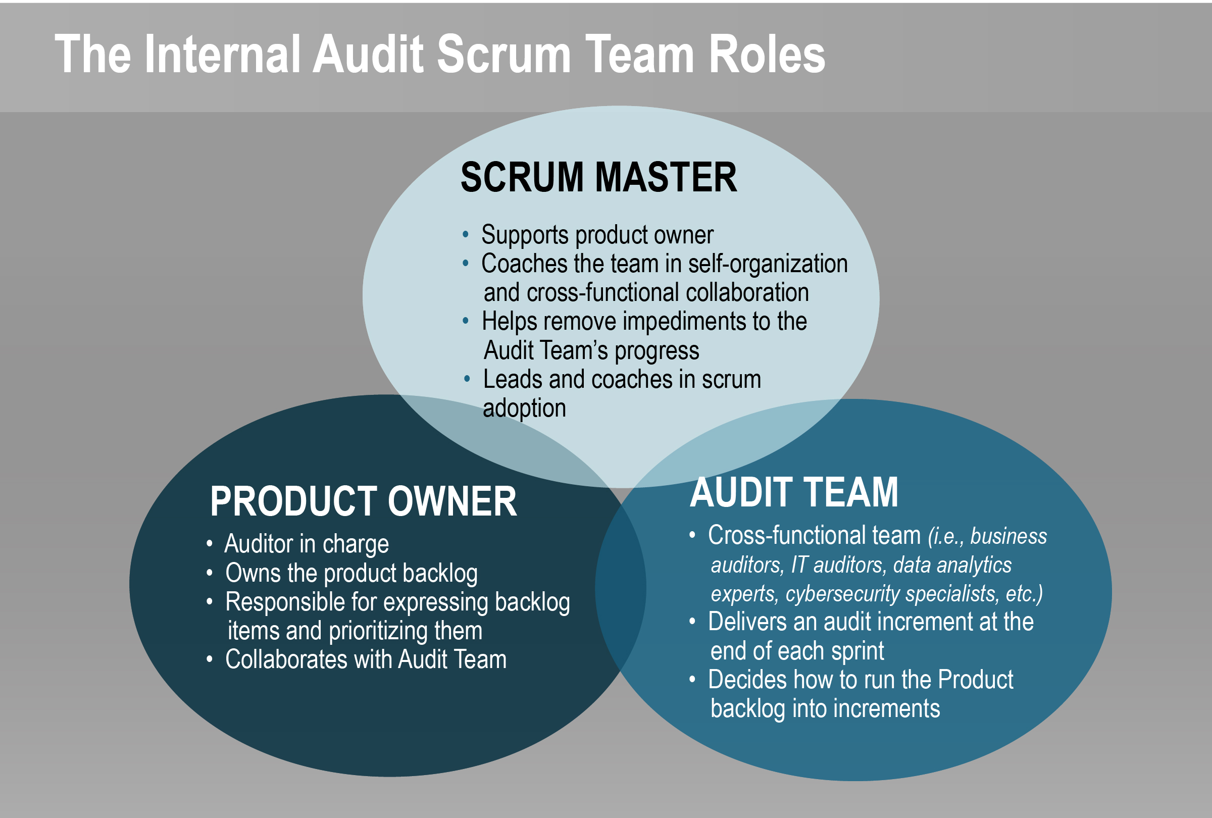 internal audit scrum team roles