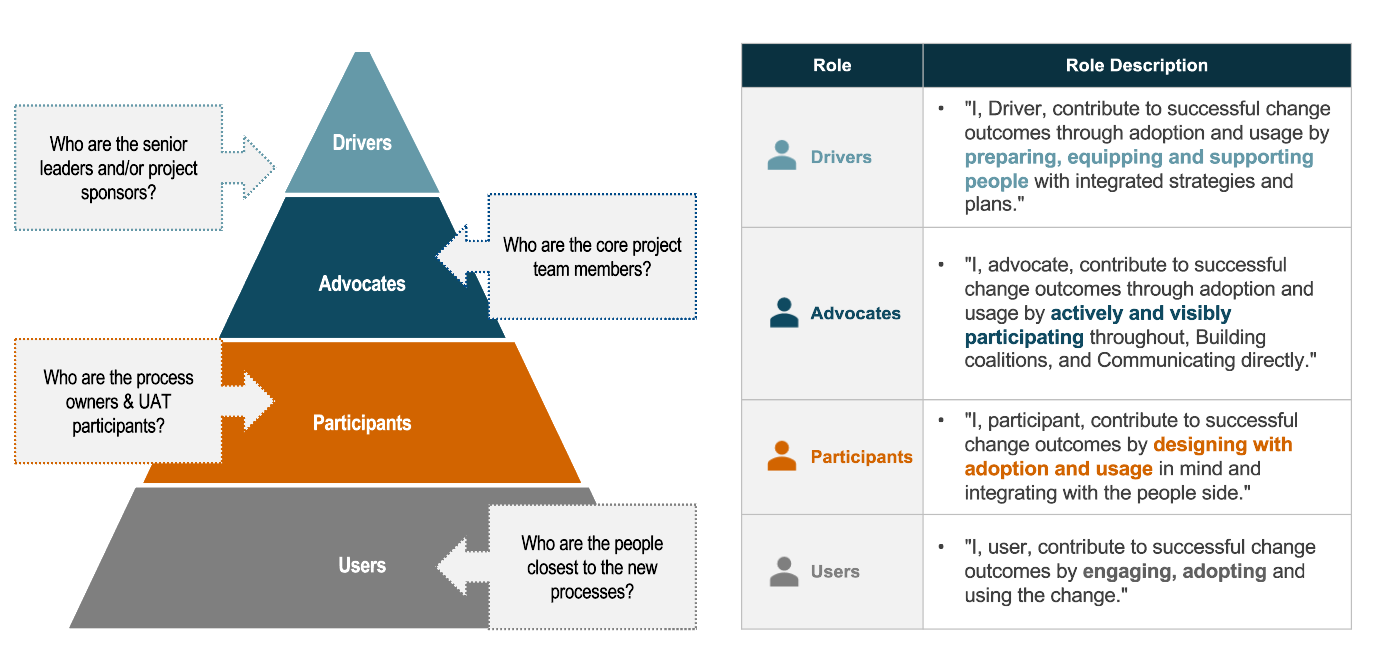 change management accountability per roles