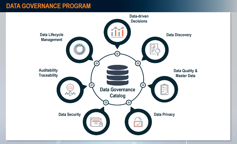 data governance program