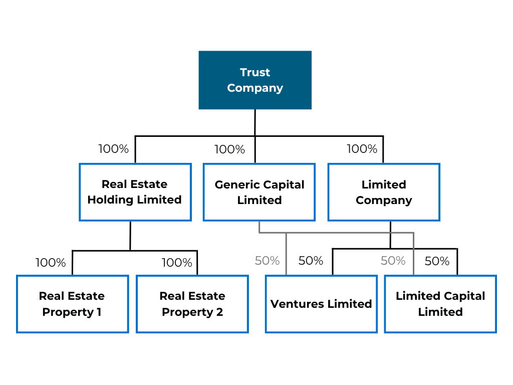 Corporate structure diagram on a black background showing a central 'Trust Company' connected to three subsidiaries: 'Real Estate Holding Limited,' 'Generic Capital Limited,' and 'Limited Company.' 'Real Estate Holding Limited' oversees 'Real Estate Property 1' and 'Real Estate Property 2.' 'Generic Capital Limited' and 'Limited Company' share 50/50 ownership of 'Ventures Limited' and 'Limited Capital Limited